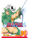 Imagen de portada para Bleach, Volume 34